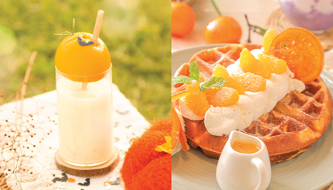 元朗新餐廳推介｜Terrace in seaside主打韓國輕食登陸Yoho Mall＋以濟州柑橘入饌窩夫及特飲