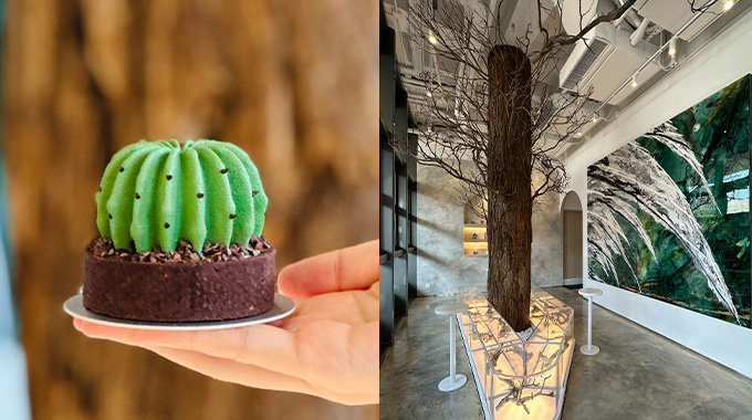 MIRROR成員Jer做老闆！啟德新餐廳「根Root Cafe」必食巴期克芋泥芝士蛋糕、仙人掌甜品、午夜抹茶等打卡美食推介