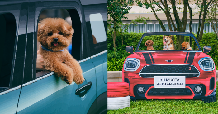 毛孩有新地方玩！全港首個汽車主題寵物友善花園登陸尖沙咀K11 Musea 