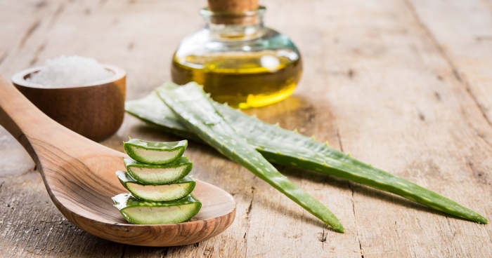 【蘆薈功效】蘆薈面膜和精華等護膚產品推薦 | 蘆薈可保濕滋潤、舒緩曬傷及抗衰老！