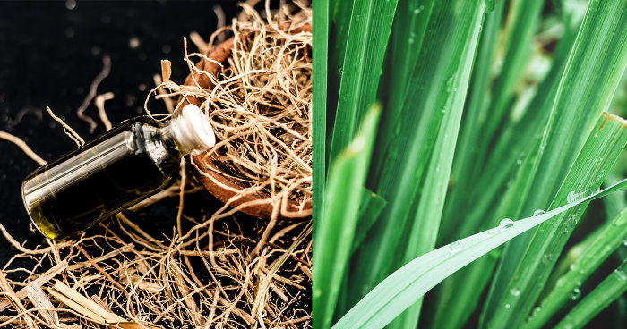 岩蘭草精油功效及能量｜岩蘭草可以招財？岩蘭草搭配用法+8件好用產品推薦