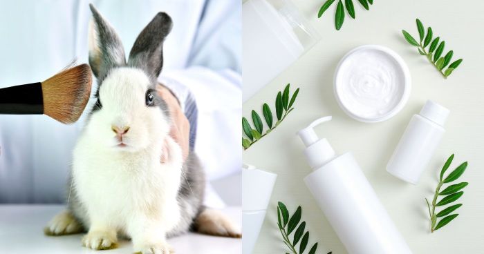 無動物實驗品牌推薦｜純素保養是甚麼？盤點8個零殘忍保養品牌