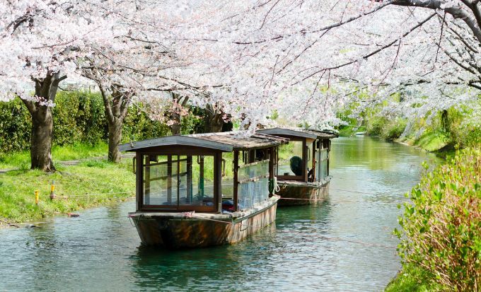 京都自由行2025｜15大必去京都景點！最新任天堂博物館/絕美神社/京都近郊一日遊