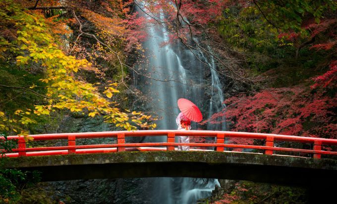 京都自由行2025｜15大必去京都景點！最新任天堂博物館/絕美神社/京都近郊一日遊