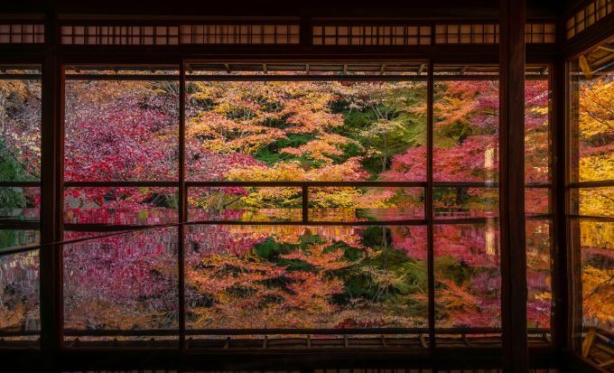 京都自由行2025｜15大必去京都景點！最新任天堂博物館/絕美神社/京都近郊一日遊