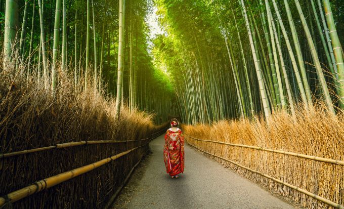 京都自由行2025｜15大必去京都景點！最新任天堂博物館/絕美神社/京都近郊一日遊
