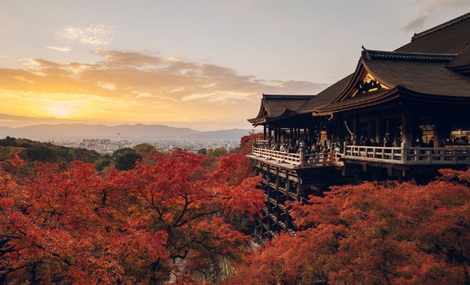 京都自由行2025｜15大必去京都景點！最新任天堂博物館/絕美神社/京都近郊一日遊