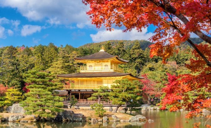 京都自由行2025｜15大必去京都景點！最新任天堂博物館/絕美神社/京都近郊一日遊