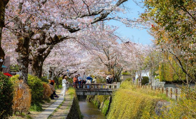 京都自由行2025｜15大必去京都景點！最新任天堂博物館/絕美神社/京都近郊一日遊
