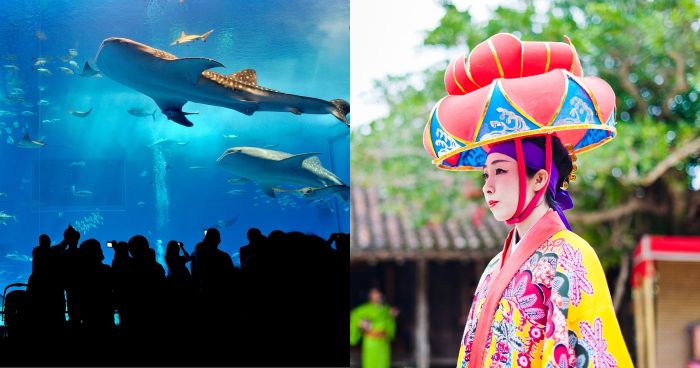 沖繩自由行｜14個必去沖繩景點+沖繩自駕遊行程建議！不自駕怎麼玩？