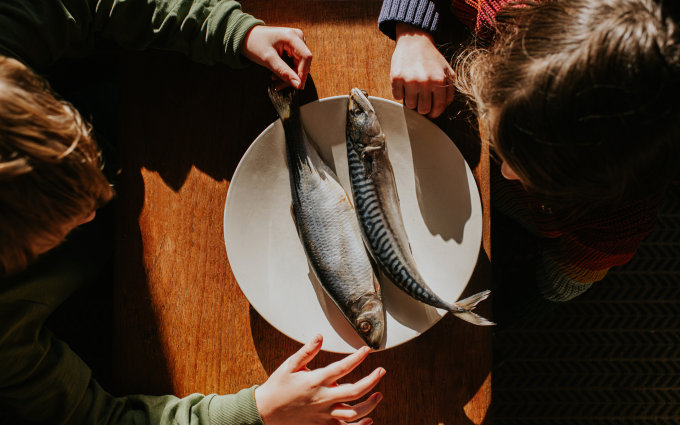 鱈魚肝油功效｜必知8大鱈魚肝油好處/禁忌+15款鱈魚肝油推薦