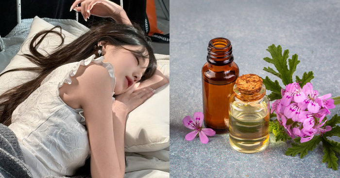 天竺葵精油功效與禁忌｜有助睡眠及護膚？最佳用法搭配指南+天然精油推薦