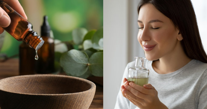 尤加利精油功效｜感冒鼻塞都有效？尤加利精油使用方法與禁忌＋天然精油及產品推薦