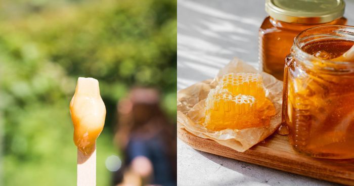 15款蜜蜂蜜糖推介｜教你分辨真蜜糖！蜜糖種類邊隻好？龍眼蜜/百花蜜/麥蘆卡蜜糖功效及推薦