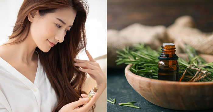 迷迭香精油功效與用法｜護髮護膚好處與使用禁忌＋精選精油及產品推薦